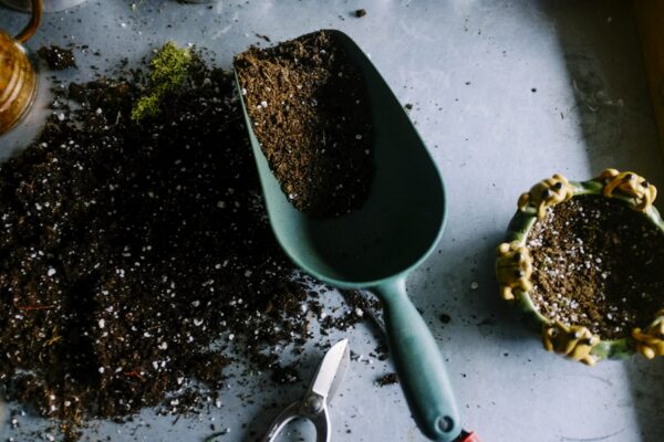 Sustrato y herramientas de jardineria, imagen de referencia